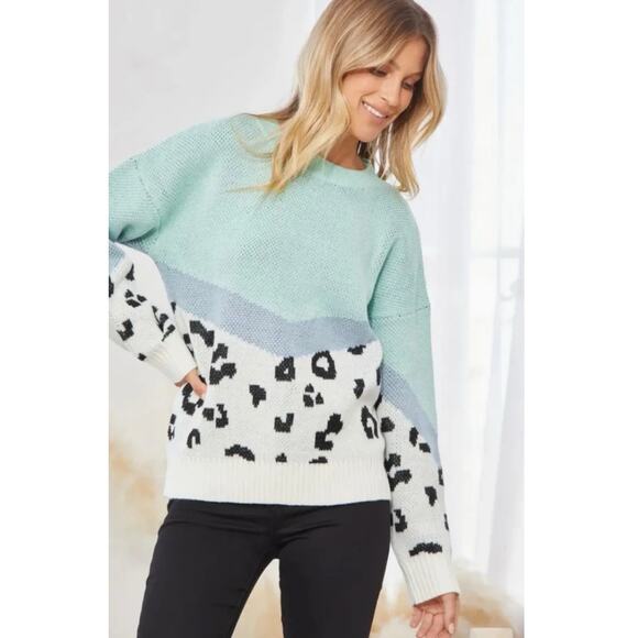 Andree by Unit Mint Leopard Colorblock Sweater Size M Coquette Cozy Soft - Picture 1 of 8